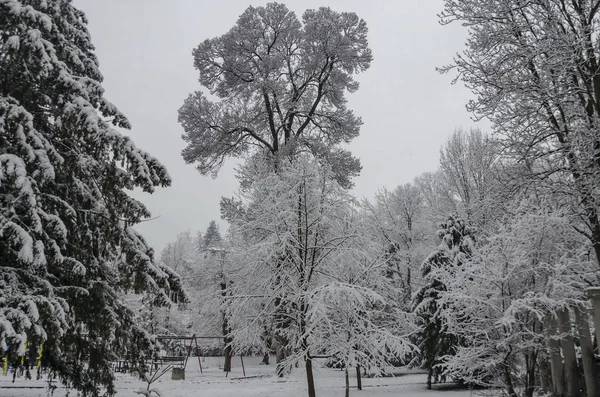 Vista Majestosa Árvores Nevadas Recanto Infantil Parque Inverno Bankya Sofia — Fotografia de Stock