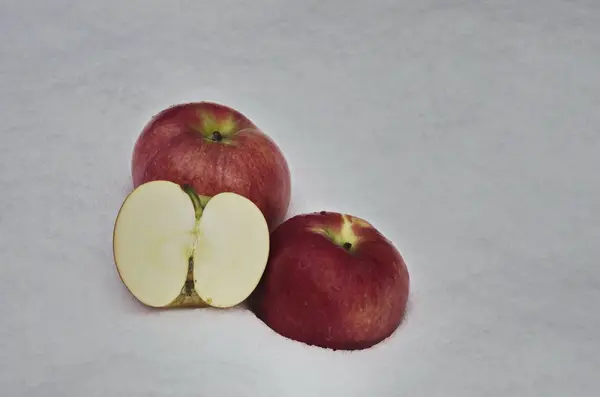 Apple Fruit Refrigerate Snow Drift Garden Sofia Bulgaria — Stock Photo, Image