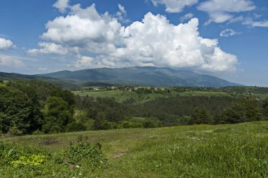 Yeşil glade ve Plana dağ Vitosha mountain, Bulgaria doğru ormanda yaz doğanın güzel manzara  