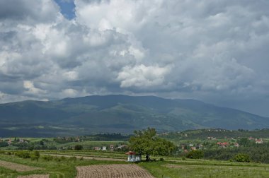 Yeşil glade ve Plana dağ Vitosha mountain, Bulgaria doğru ormanda yaz doğanın güzel manzara  