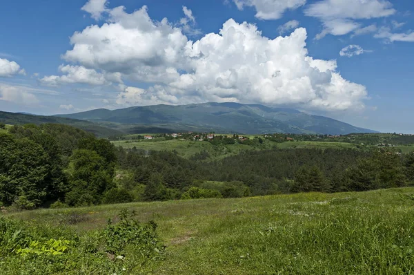 Yeşil glade ve Plana dağ Vitosha mountain, Bulgaria doğru ormanda yaz doğanın güzel manzara  