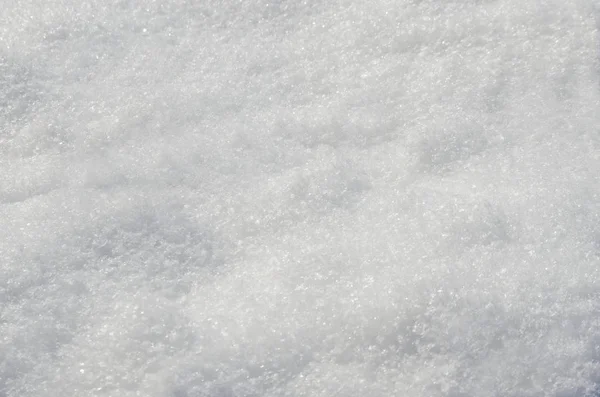 屋外冬 Zavet ブルガリアの新しい重い雪が降った後の雪の背景 — ストック写真