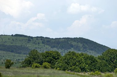 Görkemli bahar orman, taze glade ile farklı çim ve çiçek kır çiçeği, Plana dağ, Bulgaristan  