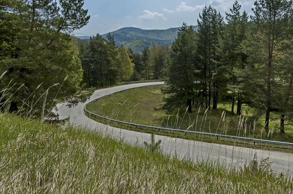 緑の空き地 針葉樹林と道路 プラナ山 ブルガリアと春の自然風景 — ストック写真