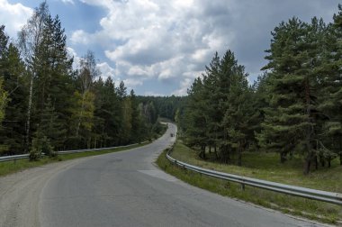 Manzara bahar doğa yeşil glade, iğne yapraklı orman ve road, Plana dağ, Bulgaristan 