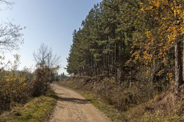 Mix orman, toprak yol ve yakınındaki village Lokorsko, Bulgaristan Balkan dağ kuru glade ile sonbahar doğa manzara   