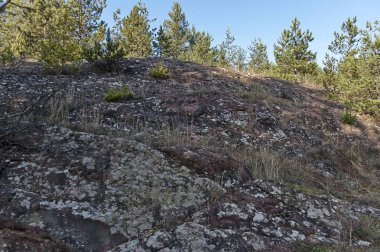 Dağ, iğne yapraklı orman ve rosk alanı yakınındaki village Lokorsko, Bulgaristan Balkan dağ ile sonbahar doğa manzara 