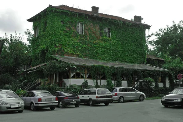 Fantastic Brick House Covered Ivy Hedera Summer Veliko Tarnovo Bulgaria — Stock Photo, Image