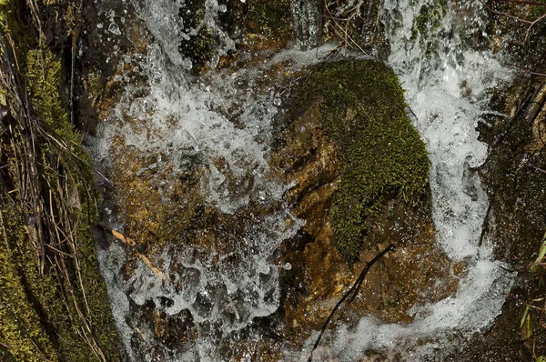 Sfondo Muschio Naturale Acqua Ghiacciata Roccia Foglie Secche Nel Fiume — Foto Stock