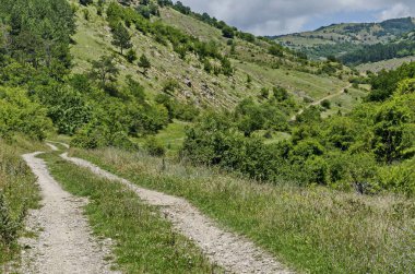 Bulgaristan 'ın Sofya bölgesindeki Zhelyava köyü yakınlarındaki Balkan dağında güzel kozalaklı ve yaprak döken orman, farklı çimler, şelale ve toprak yol ile taze açıklık  