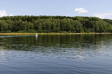 General view of the artificial Vlasina mountain lake surrounded by a pine tree forest in summer, Southeastern Serbia, Europe