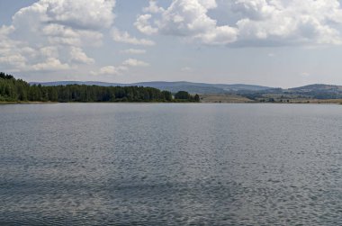 General view of the artificial Vlasina mountain lake surrounded by a pine tree forest in summer, Southeastern Serbia, Europe