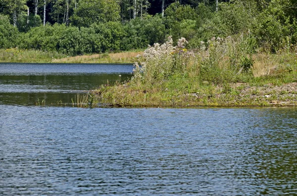 Hermoso Bosque Fresco Orilla Del Lago Artificial Montaña Vlasina Sudeste —  Fotos de Stock