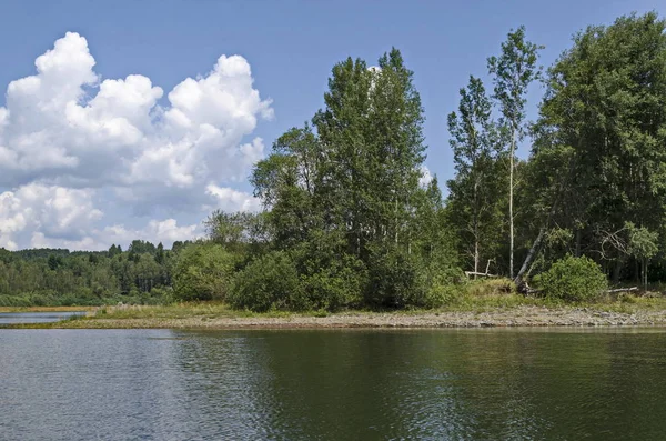 Hermoso Bosque Fresco Orilla Del Lago Artificial Montaña Vlasina Sudeste — Foto de Stock