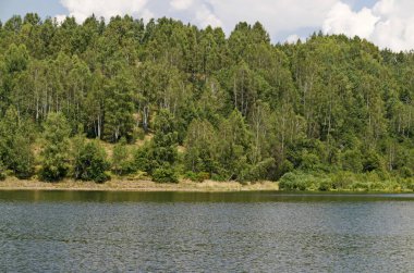Vlasina dağ gölü, Sırbistan - 09 Ağustos 2019: Vlasina dağ gölünde, Sırbistan, Avrupa kıyılarına demirlemiş, iki metre derinliğindeki bitki ve hayvanlarla dolu yüzen ada manzarası. Ziyaret yerinde..