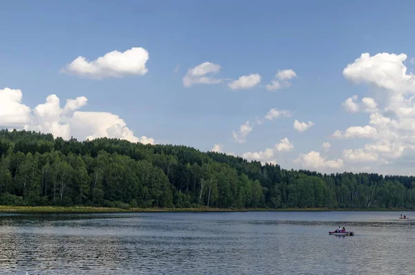 Belle Forêt Fraîche Clairière Sur Rive Lac Artificiel Montagne Vlasina — Photo