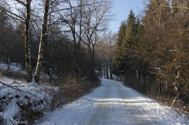 Bulgaristan 'ın karlı Vitosha Dağı' ndaki kış ormanı ve karayolu manzarası  