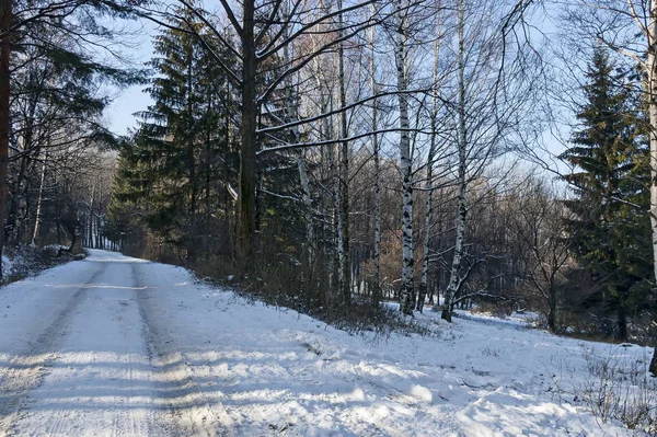 Paisaje Con Bosque Invierno Carretera Montaña Nevada Vitosha Bulgaria —  Fotos de Stock