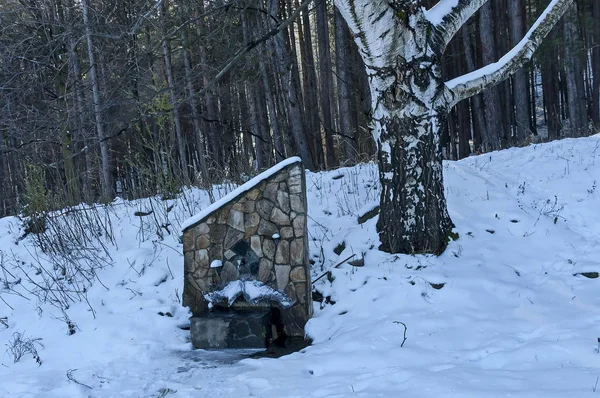 Vintern Har Vattnet Fontän Byggd Källa Äng Vitosha Berget Fryst — Stockfoto