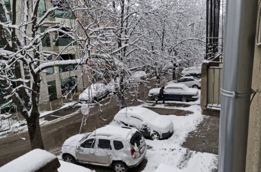 Sofya, Bulgaristan - 23 Mart 2020: COVID-19 Corona Virüs Salgını, Acil ve Şiddetli Kar yağışı sırasında Evcil Köpeğe Ortak Acil Durum Sorumluluğu ve Bakımı, Sofya, Bulgaristan. Ziyaret yerinde..