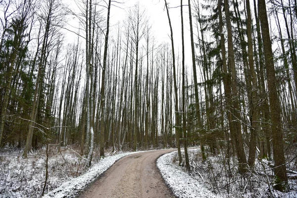 Kurvenreiche Straße im Winterwald — Stockfoto