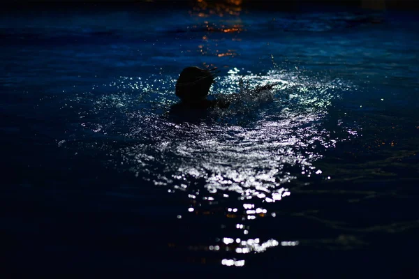 那男孩晚上在旅馆的游泳池里溺水 — 图库照片