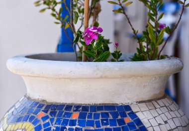 Büyük bir Yunan seramik vazosundaki çiçekler.