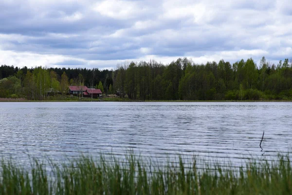 Krajina Lesní Jezero Obci — Stock fotografie