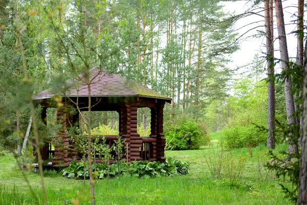 森の中の美しい木製のピクニックアーバー — ストック写真