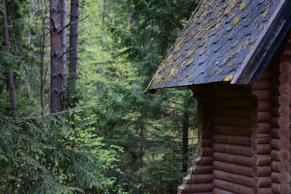 森の端にある木造の家 — ストック写真