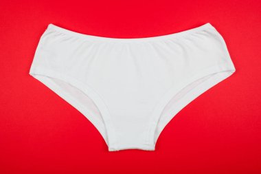 Kadın Pamuk külot üzerinde izole kırmızı arka plan çiçekli.