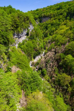 Dağ ve orman Kanyon Okazio mavi gökyüzü karşı dağlarda. Gürcistan.