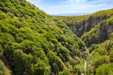 Dağ ve orman Kanyon Okazio mavi gökyüzü karşı dağlarda. Gürcistan.