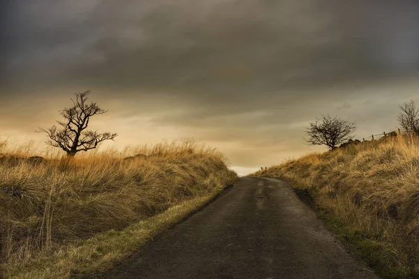 Sunrise in Scottish road — Stock Photo, Image