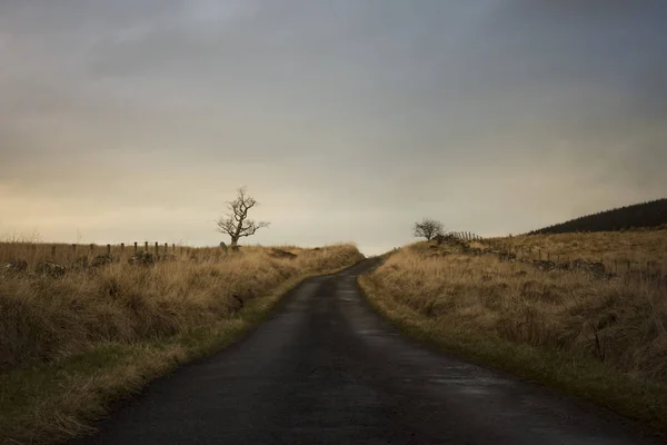 Estrada vazia ao entardecer — Fotografia de Stock