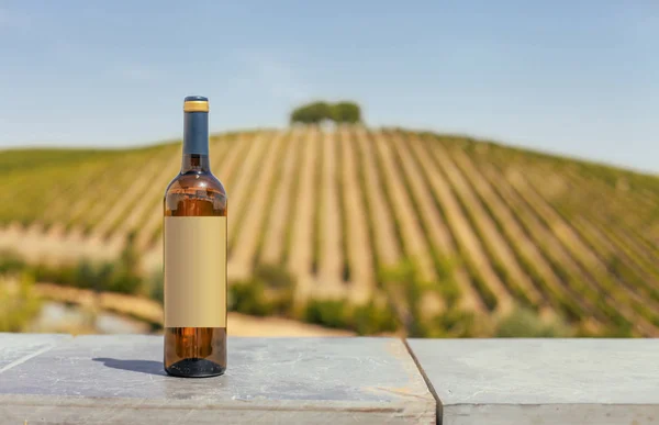 一瓶葡萄酒的葡萄园 — 图库照片