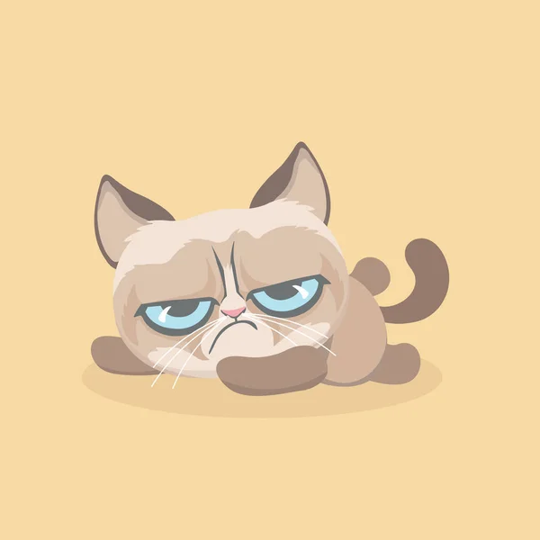 Cute grumpy cat. Vector Illustration — Stock Vector