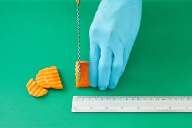 Yaban domuzu keserken yakın el sebze kesiyor.