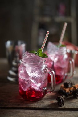 Yeşil nane ile organik taze İtalyan Soda
