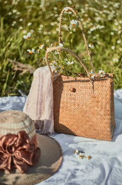 Çimlerin üzerinde yaz pikniği