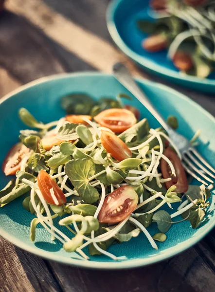 Świeża sałatka warzywna na talerzu. — Zdjęcie stockowe