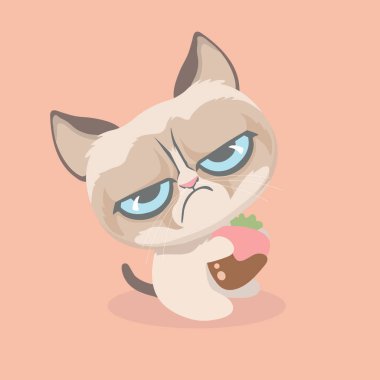 Tatlı huysuz bir kedi ve tatlı.