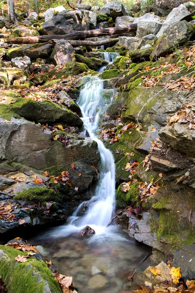 Agua que fluye en un arroyo . — Foto de Stock