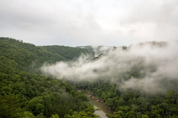 Mist over de Big South Fork — Stockfoto