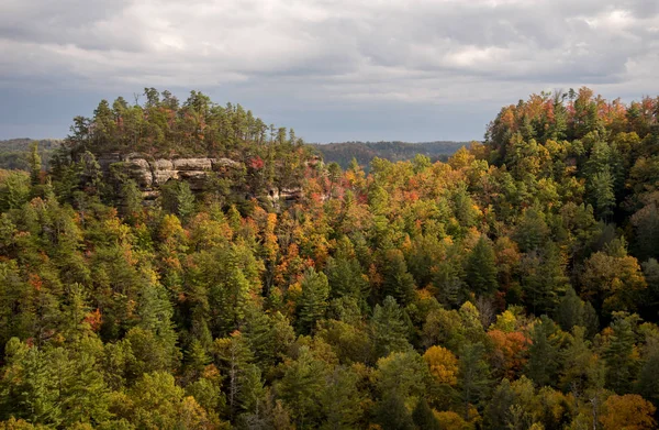 ケンタッキー州の秋の色 — ストック写真