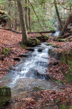 Central Kentucky basamaklı şelale.