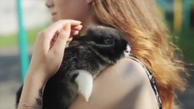 Güneşin altında elinde küçük bir tavşanla duran güzel bir genç kız. Portre görüntüsünü kapat. Rüzgâr kızların saçlarını savuruyor.