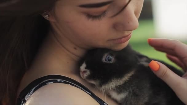 Csinos fiatal lány áll a napon egy kis nyúllal a kezében. Arckép közelről. A szél fújja a lányok haját — Stock videók