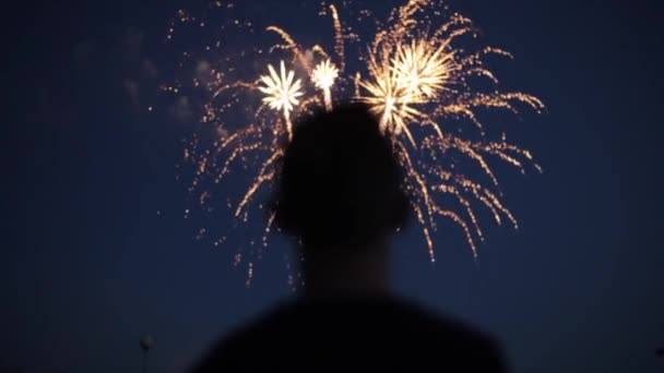 Размытый силуэт крупным планом человека, наслаждающегося фейерверками ночью — стоковое видео