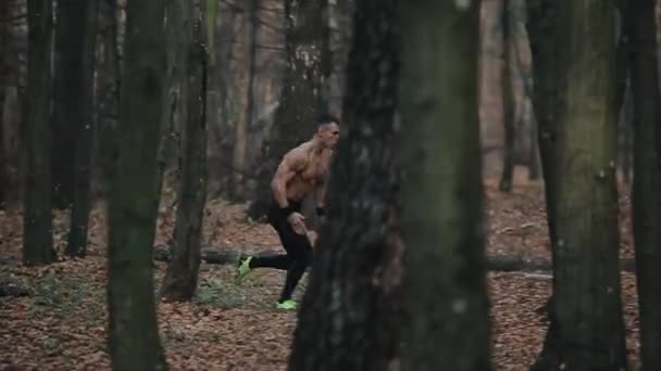 Самотній м'язистий спортсмен бігає в лісі між деревами з голим торсом. Кінематографічний знімок. осіннє листя на землі . — стокове відео